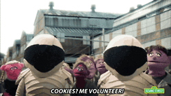 cookies me volunteer