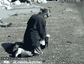 when someone tells me i need to get out there in the dating world